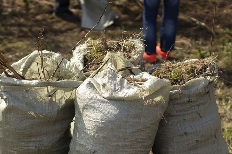 Brush Clearing Service