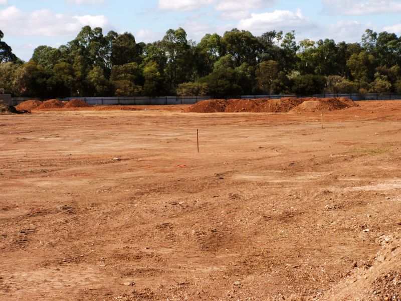 Cleared Land for Development