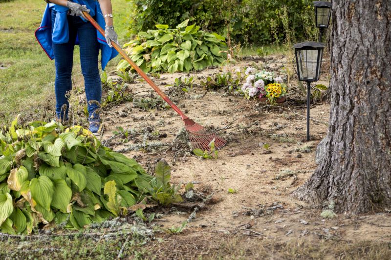 Independent Land Clearing Specialists