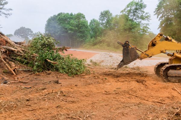 Forestry Mulching Service in Decatur