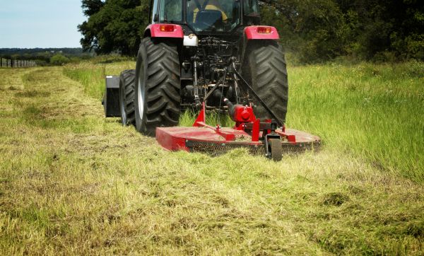 Brush Clearing Service in Decatur