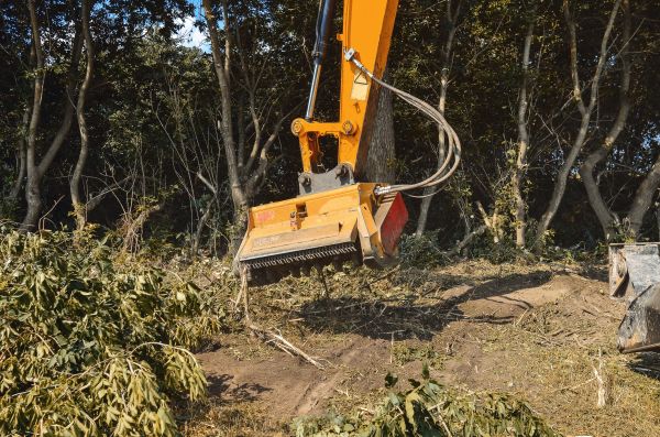 Brush Removal Service in Decatur