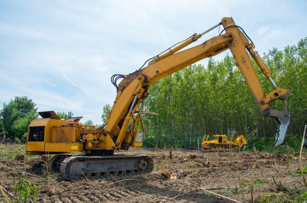 Farm Clearing in Decatur