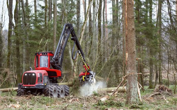 Forest Clearance Service in Decatur