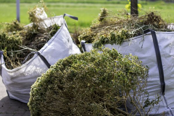 Bushes Clearing in Decatur