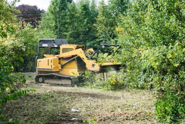 Pathway Clearing in Decatur