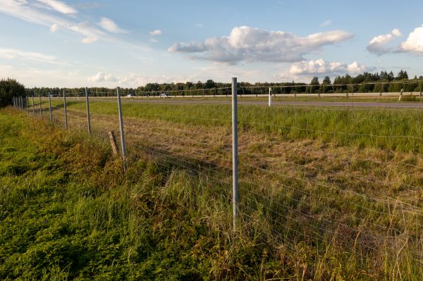Property Line Clearing in Decatur